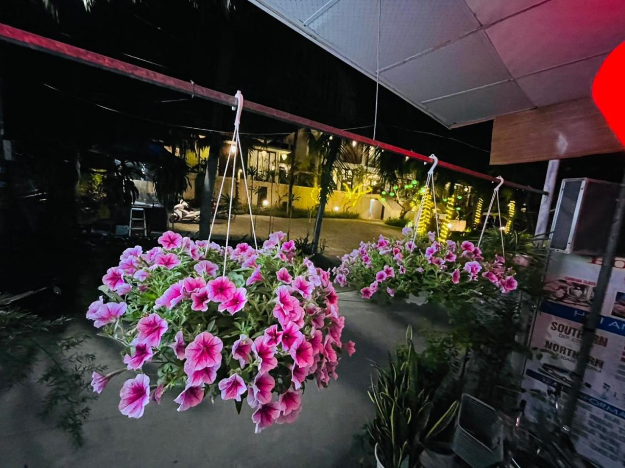 Cuong Thinh Homestay Hoi An Eksteriør billede